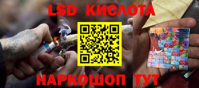дмт Донской