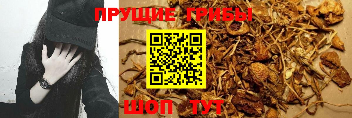 Кулебаки  Псилоцибиновые грибы Magic Shrooms  Псилоцибиновые грибы прущие грибы  Вход с VPN 